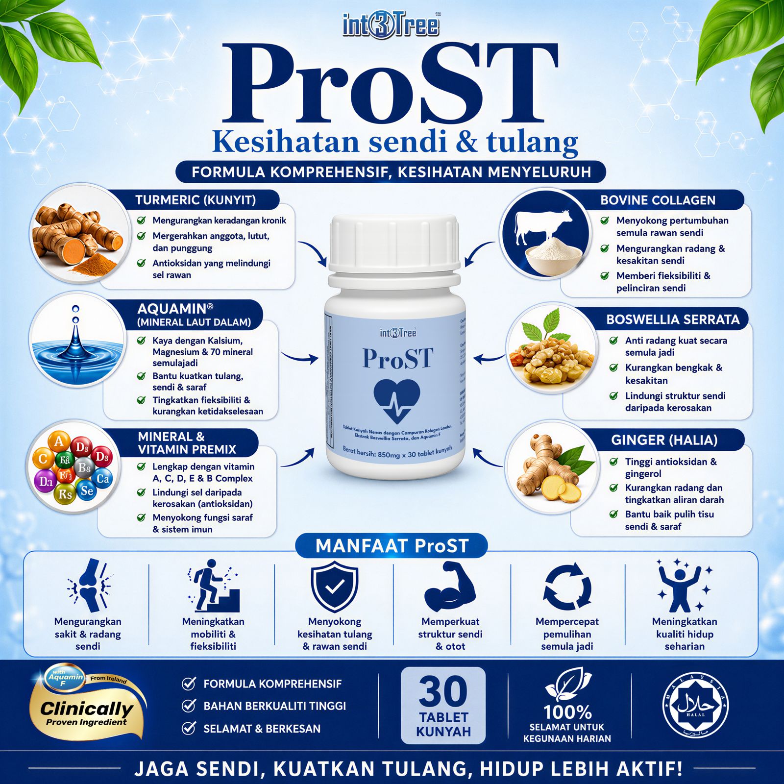 Produk Int3Tree 7